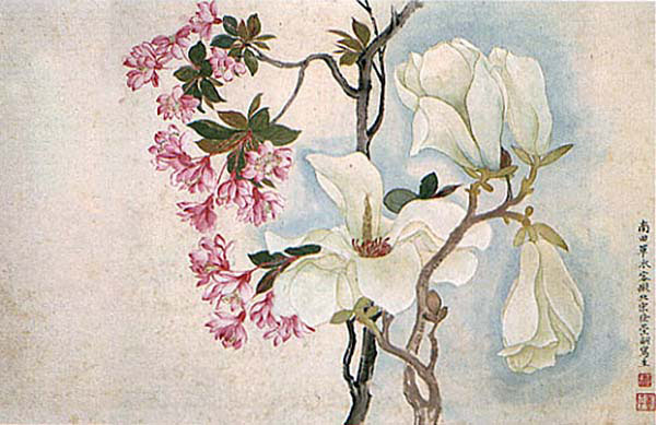 Magnolias